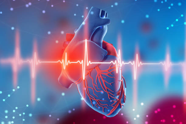 How Can Tests to diagnose a heart attack?