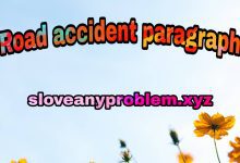 Road accident paragraph for SSC/HSC