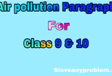 Paragraph Air Pollution  in English