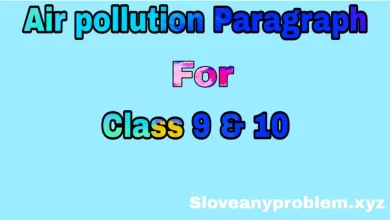Paragraph Air Pollution  in English