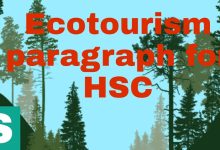 Ecotourism paragraph for HSC