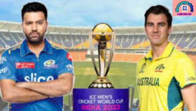 World cup cricket final 2023 India vs Australia