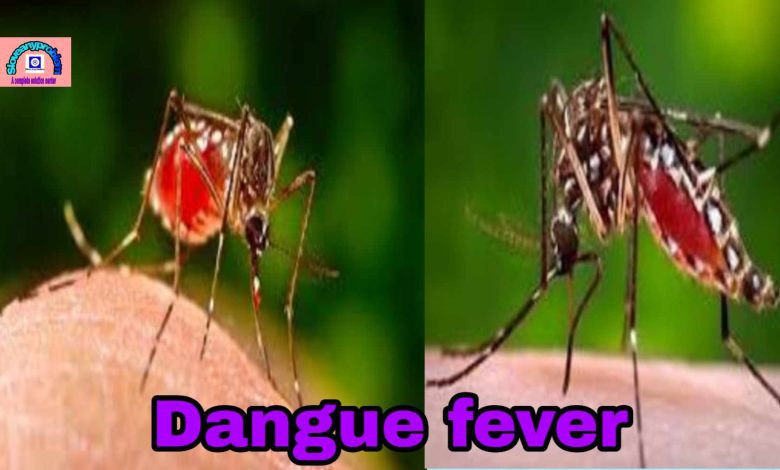  Paragraph Dengue fever for SSCHSC
